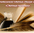 Победители конкурса «Степная палитра» - определены. - Заповедник Ростовский