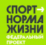 Муниципальный этап Первенства Ростовской области – Кубок Ростсельмаша по тег-регби среди обучающихся общеобразовательных учреждений (Ростсельмаш – лига). - Управление культуры и спорта