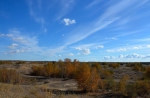 5uteYNGAXjU