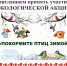 Региональная акция "Покормите птиц зимой" - Заповедник Ростовский