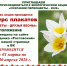 Конкурс плакатов "Первоцветы-друзья весны" - Заповедник Ростовский